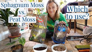 SPHAGNUM MOSS vs PEAT MOSS Grow Your Rare Houseplants Correctly [upl. by Heiner]