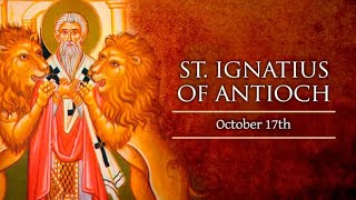 Memorial of Saint Ignatius of Antioch Bishop and Martyr [upl. by Donica]