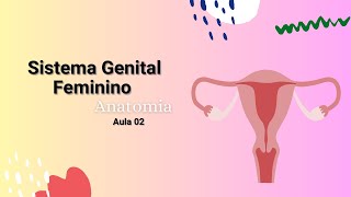 SISTEMA GENITAL FEMININO  Anatomia do Útero  Medicina Curso superior [upl. by Vivyanne533]