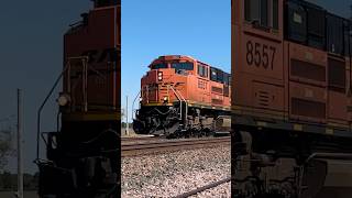 BNSF SD70ACe leads heavy BNSF Grain train bnsftrains bnsfrailway bnsf [upl. by Win872]