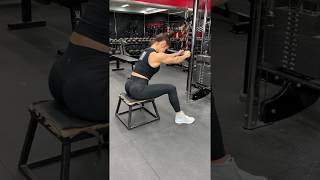 Seated Cable Rope Straight Arm Pulldown [upl. by Kalk]