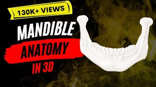 Mandible  Favorite bone of dentists [upl. by Ohcirej]