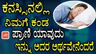 Dream Facts Kannada  ಕನಸ್ಸಿನಲ್ಲಿ ನಿಮಗೆ ಕಂಡ ಪ್ರಾಣಿ ಯಾವುದು ಇನ್ನು ಅದರ ಅರ್ಥವೇನೆಂದರೆ  YOYO TV Kannada [upl. by Trauner]