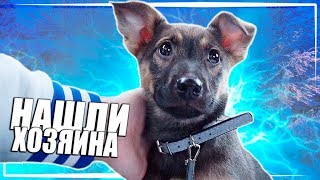 Спасение щенка Собачка едет домой  SANI vlog [upl. by Soinotna]