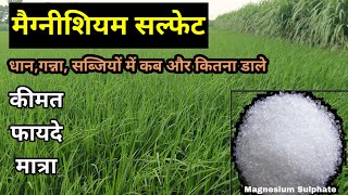 धान में मैग्नीशियम सल्फेट के फायदे  magnesium sulphate fertilizer [upl. by Zennas]