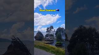 Tauranga NZ🇳🇿 shorts nztravel tauranga [upl. by Cutlerr]