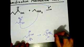 How to Make Amides Mechanism [upl. by Naitsabas]