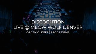 Discognition LIVE  Meow Wolf Denver  Organic Deep amp Progressive House Mix [upl. by Semajwerdna]