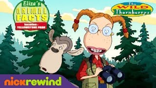 Animal Facts From The Wild Thornberrys  Nicktoons [upl. by Dunston]