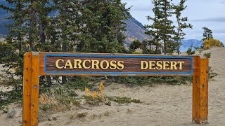 The quotCarcross Desertquot is often referred to as the quotWorlds Smallest Desertquot [upl. by Newman]