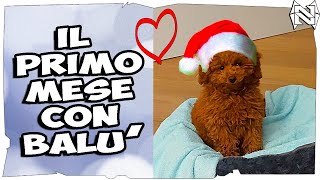 Il primo mese con Balù [upl. by Ball]