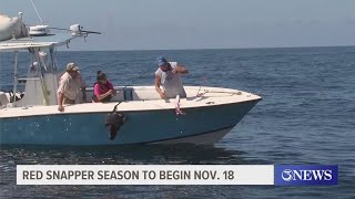 Red Snapper season begins Nov 18 [upl. by Harmon]