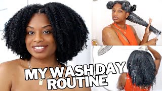 My Wash Day Routine  Wash and Go [upl. by Catrina]