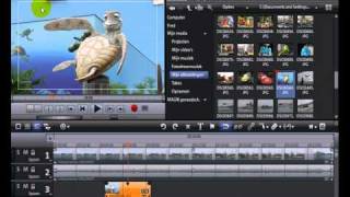 Tutorial MAGIX Video deluxe 16  Chromakeying NL [upl. by Rudy123]