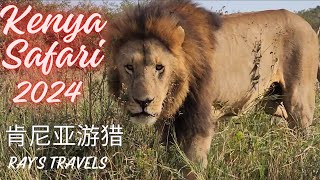 Africa Safari Lion 1 meter away buffalo vs lions and many more exciting encounters [upl. by Eniladam]