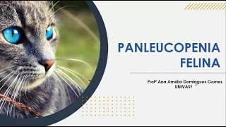 PANLEUCOPENIA FELINA  ANA AMÉLIA DOMINGUES GOMES  IV SIMPONEDI [upl. by Stein]