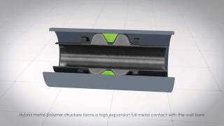 MetaPlex Downhole Sealing Technology [upl. by Wanids]