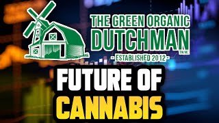 The Green Organic Dutchman Financial Stock Review Organic Cannabis Supplier TGODTO [upl. by Richarda]