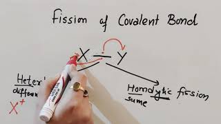 Fission of Covalent Bond  Inductive Effect  Hyperconjugation Class 11Chemistry [upl. by Branca]