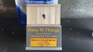 Bees ‘N Things Carpenter Bee Trap [upl. by Ingar242]