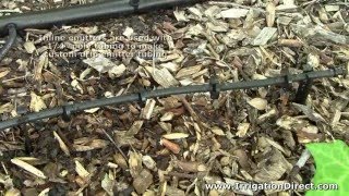 Drip Irrigation Inline Drip Emitters ILE10 [upl. by Letnuahc282]