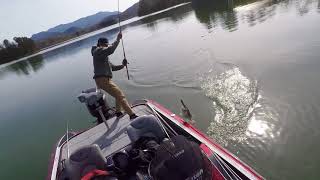 8 Pounder Destroys Deps 175 Plus Much Much More [upl. by Eisaj]