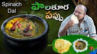 పాలకూర పప్పు ఇలా చేయండి కమ్మగా ఉంటుంది  Palakura Pappu Recipe In Telugu  Food on Farm [upl. by Noirda821]