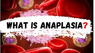 What is Anaplasia  Anaplasia [upl. by Illil]