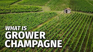 What is GROWER CHAMPAGNE amp How It Differs From Large Champagne Houses [upl. by Ajat]