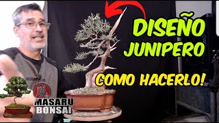 COMO EMPEZAR UN BONSAI  DISEÑO DE JUNIPERO CHINENSIS [upl. by Yleak485]