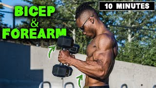 10 MINUTE LIGHTWEIGHT DUMBBELL BICEP amp FOREARM WORKOUT [upl. by Esenaj]