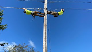 Lineman pole climbing [upl. by Yrojram358]