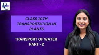 Master Plant Transport Biologys Biggest Mystery Solved [upl. by Singband]