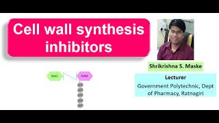 Cell wall synthesis inhibitor antibiotics HINDI I MOA of beta lactam antibiotics I GPAT I Pharmacist [upl. by Tur]