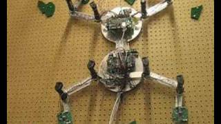 Climbing robot throws its weight around [upl. by Sewel]