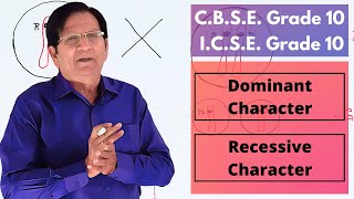 Dominant Traits amp Recessive Traits  Grade 10 Biology [upl. by Comptom579]