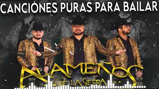 Los Alameños de La Sierra  Las Mas Chingonas Pa Bailar  100 Cumbias Sierreñas [upl. by Drolyag12]