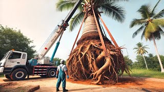 StepByStep Guide To Using 120 TON Crane Lifting Giant Tree Stumps For Milton Woodworking Projects [upl. by Yelsa]