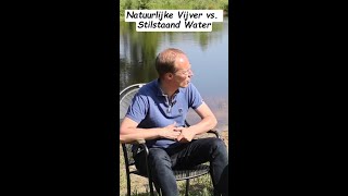 Natuurlijke Vijver vs Stilstaand Water—Wat Trekt Meer Muggen Aan [upl. by Aicilaf]