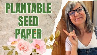 Make Ecofriendly Seed Paper At Home And Grow Your Garden [upl. by Hegyera]