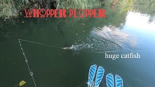 Silure footballer et attaques multiples à vue au whopper plopper river2sea [upl. by Anomar]