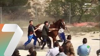 Así se entrenan los Caballos del Vino de Caravaca [upl. by Allegra]