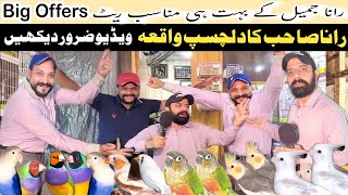 Rana Jameel ki sasti deals  rana birds aviary [upl. by Ardnassak430]