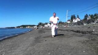 Shinburyu Chitoryu karatedo Kihon no sai by Jean Noel Blanchette 7 Dan [upl. by Nnaecyoj]