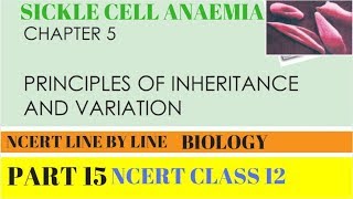 PART15 SICKLECELL ANAEMIA  CHAPTER 5 NCERT CLASS 12TH BIOLOGY [upl. by Anitirhc]