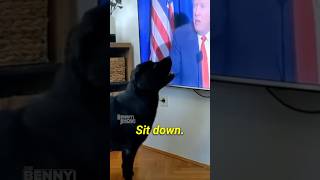 The GOODEST BOY sits for Trump 🐶🤣 [upl. by Teodoro]