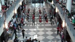 Flash Mob Dance at Ohio States Union May 3 2010 [upl. by Singhal]