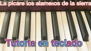 La picare los alameños de la sierra tutoría en teclado 🎹 [upl. by Deeanne]