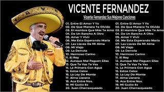 VICENTE FERNANDEZ MIX ROMANTICAS VIEJITAS PARA ADOLORIDOS LAS MEJORES RANCHERAS [upl. by Valerio]