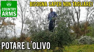 Potare lolivo bisogna saper non tagliare Episodio 4 [upl. by Mildrid]